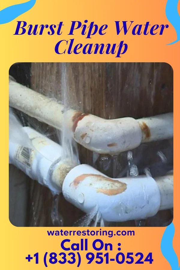 Burst Pipe Water Cleanup in Valley Park, MO