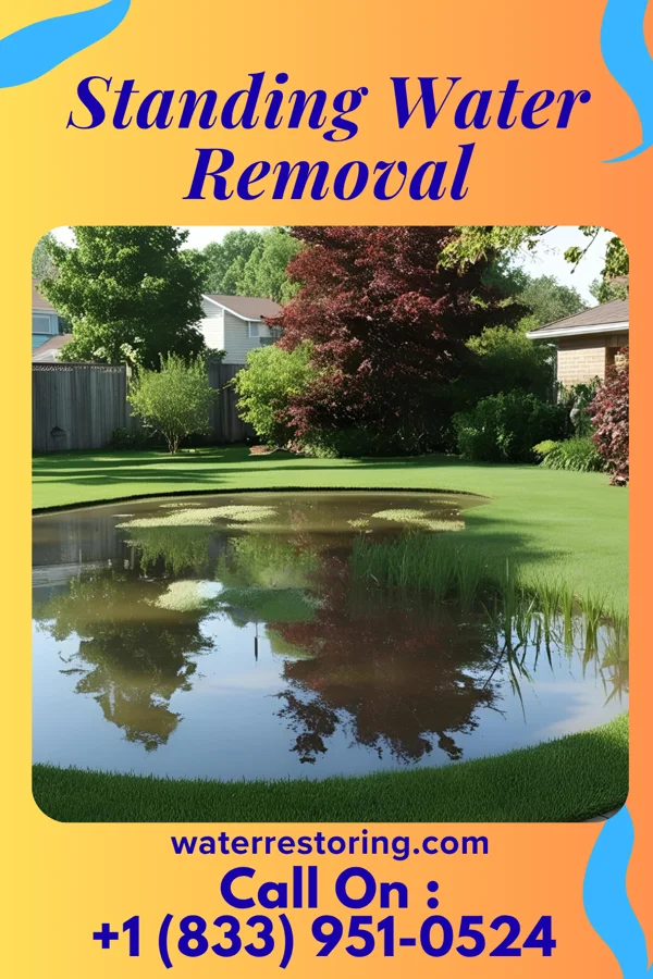 Standing Water Removal in Valley Park, MO